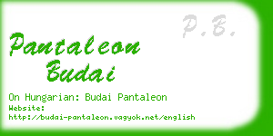 pantaleon budai business card